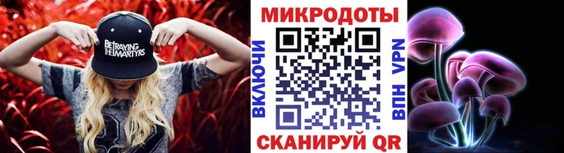 Галлюциногенные грибы Psilocybe  Приозерск 