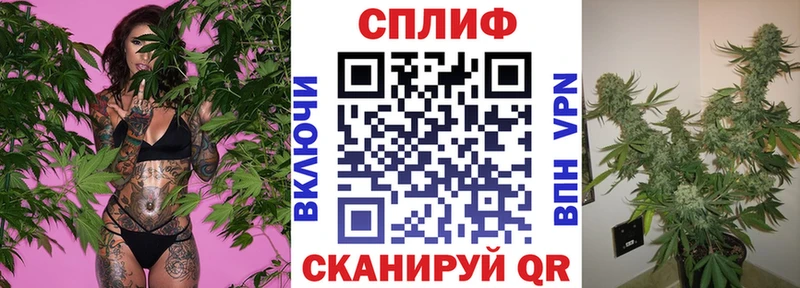 Каннабис индика  Приозерск 